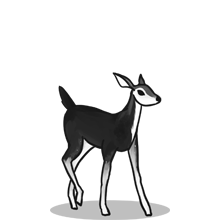 安全无后顾之忧的{固定网站名称23}