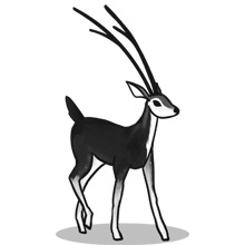 网站攻击软件工具